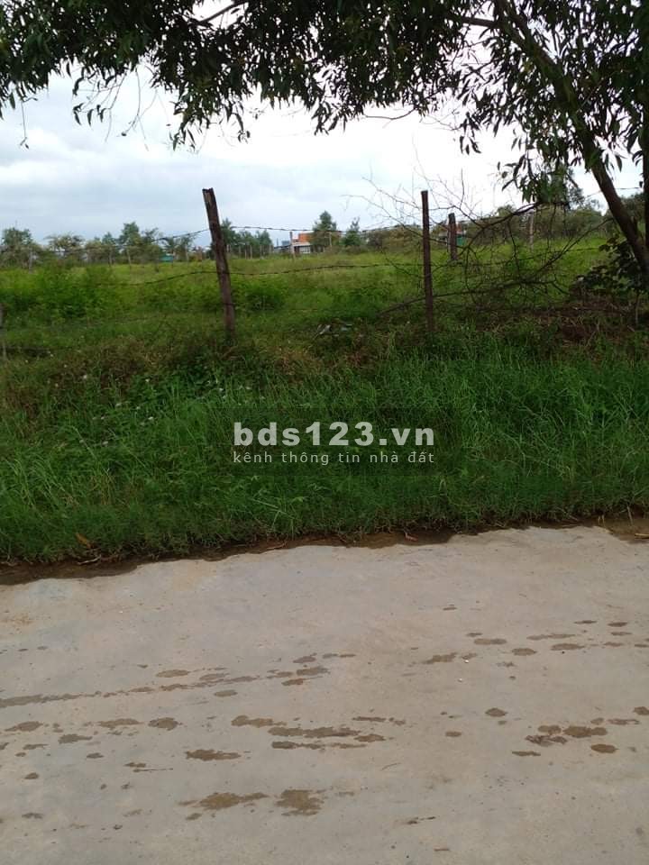Cần bán đất thổ cư đất trồng cây lâu năm liên hệ 0354004900, pháp lý chính chủ bàn giao ngay