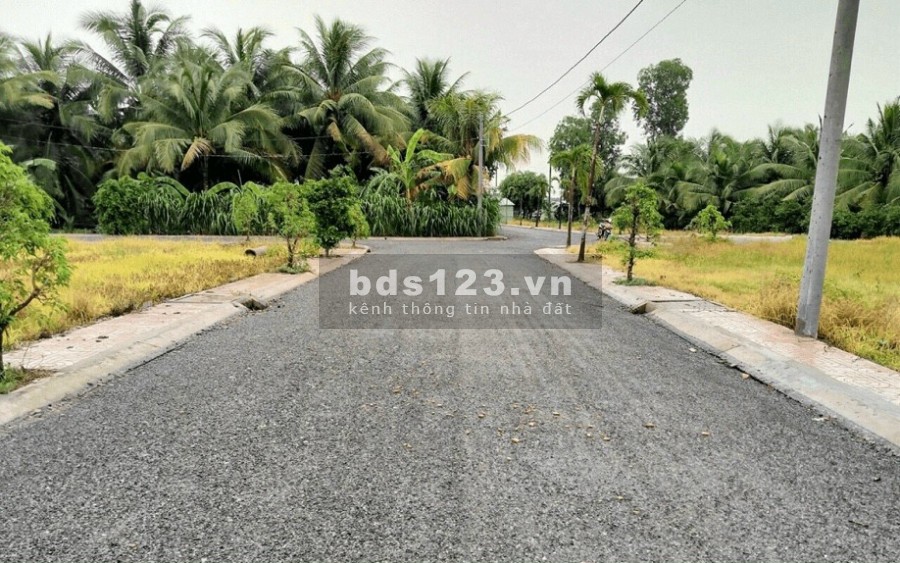 Bán đất nền sổ đỏ giá rẻ ngay khu công nghiệp Tân Hương, diện tích 100m2, sổ sẵn chính chủ