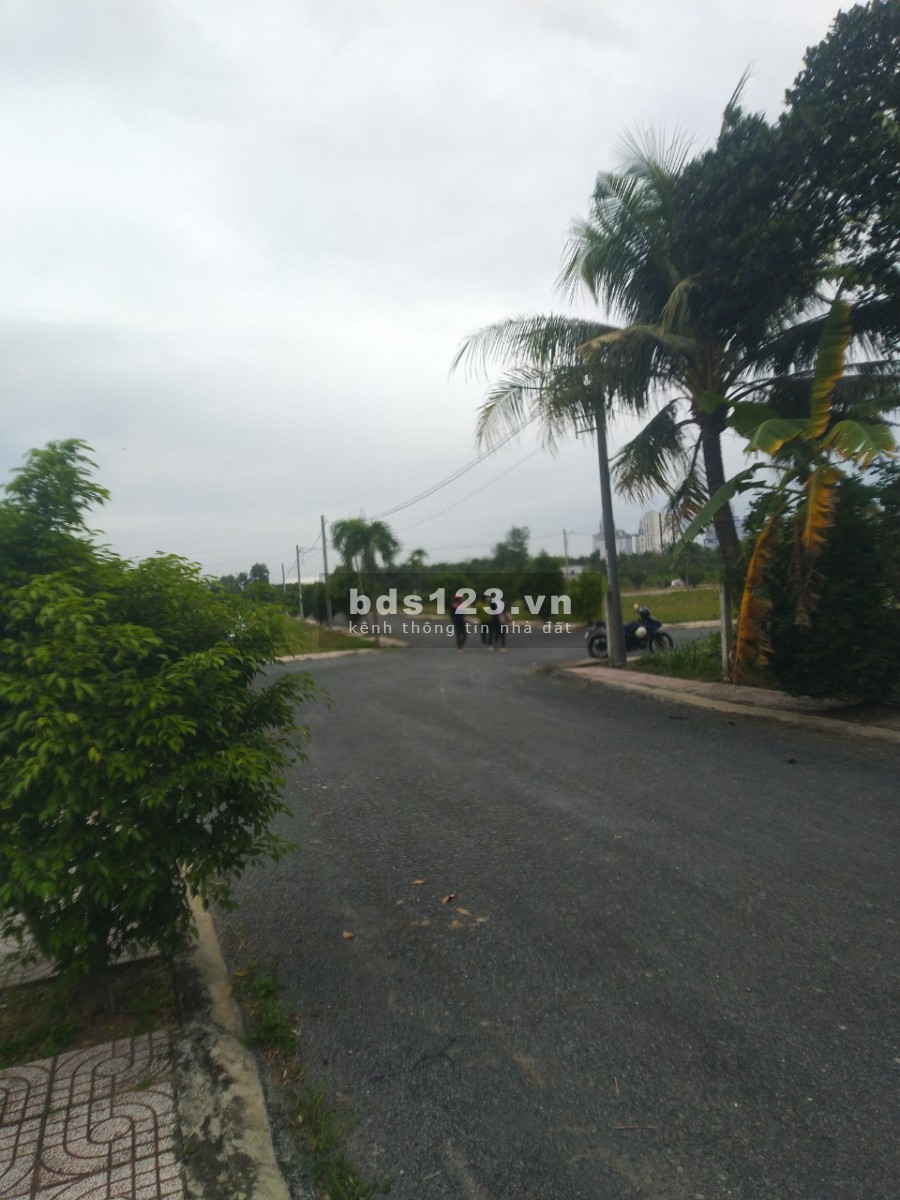 Bán đất nền sổ đỏ giá rẻ ngay khu công nghiệp Tân Hương, diện tích 100m2, sổ sẵn chính chủ