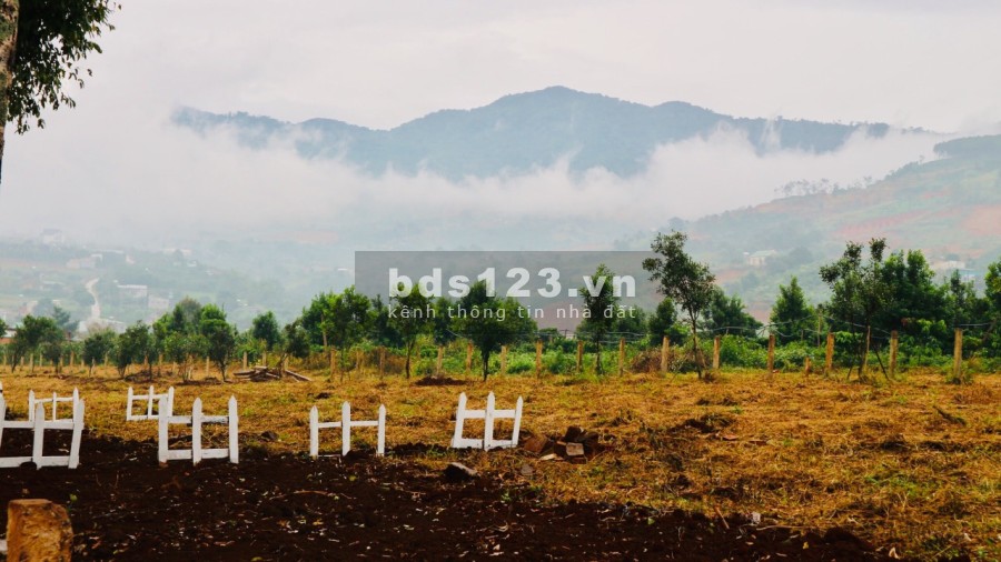 Sở hữu khu đất nền biệt thư Eden Hills giá bán 1.8 tỷ, pháp lý chính chủ bàn giao ở ngay