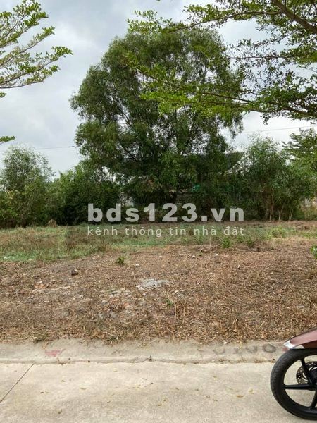 Mùa dịch cần tiền bán lỗ 2 dãy trọ và lô đất 300m2 chính chủ - giá rẻ đầu tư sinh lời cao