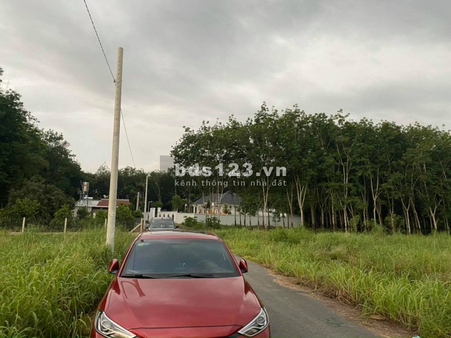 Chính chủ bán gấp lô mặt tiền ngay chợ Long Tân Dầu Tiếng, 495m2 đất, sổ trao tay.