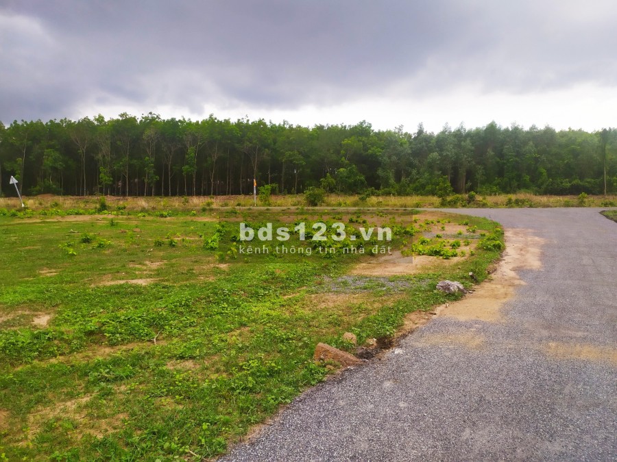 Phước Bình Giá rẻ 1.7Triệu/M2 , Vị Trí Tuyệt Đẹp Đầy Tiềm Năng, Pháp Lý Đầy Đủ Đất