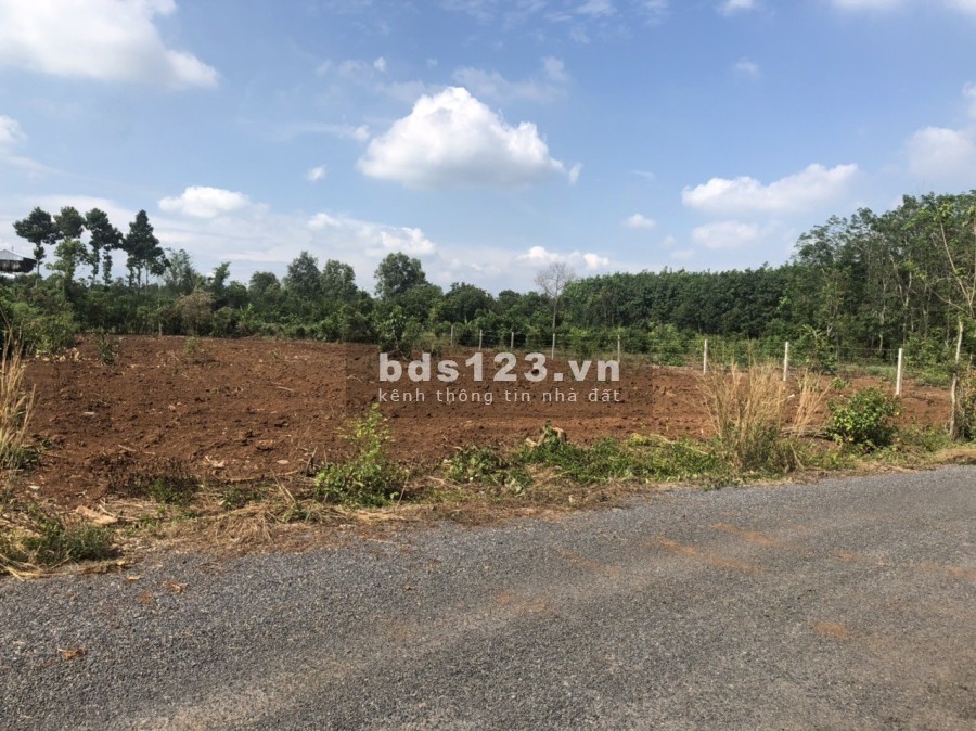 Đất Sào Phước Bình Giá Rẻ 1.4Triệu/M2, Vị Trí Tiềm Năng cho Anh Chị Đầu Tư, Pháp Lý Đầy Đủ