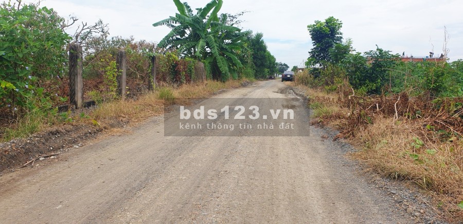 Đất Sào Phước Bình Giá Rẻ 1.4Triệu/M2, Vị Trí Tiềm Năng cho Anh Chị Đầu Tư, Pháp Lý Đầy Đủ