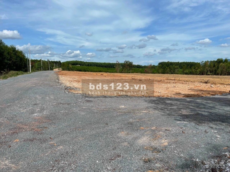 Chính chủ bán gấp hơn 1000m2 ONT sau lưng UBND, trường học cấp 2 xã Phướ Bình - Long Thành, gia f0
