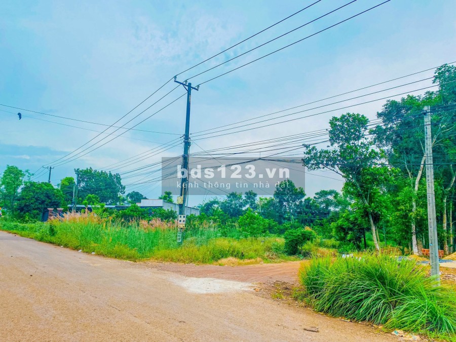 Đất Sào Bàu Cạn Gần Sân Bay Long Thành - Giá Đầu Tư liên hệ 0962960735 hỗ trợ vay
