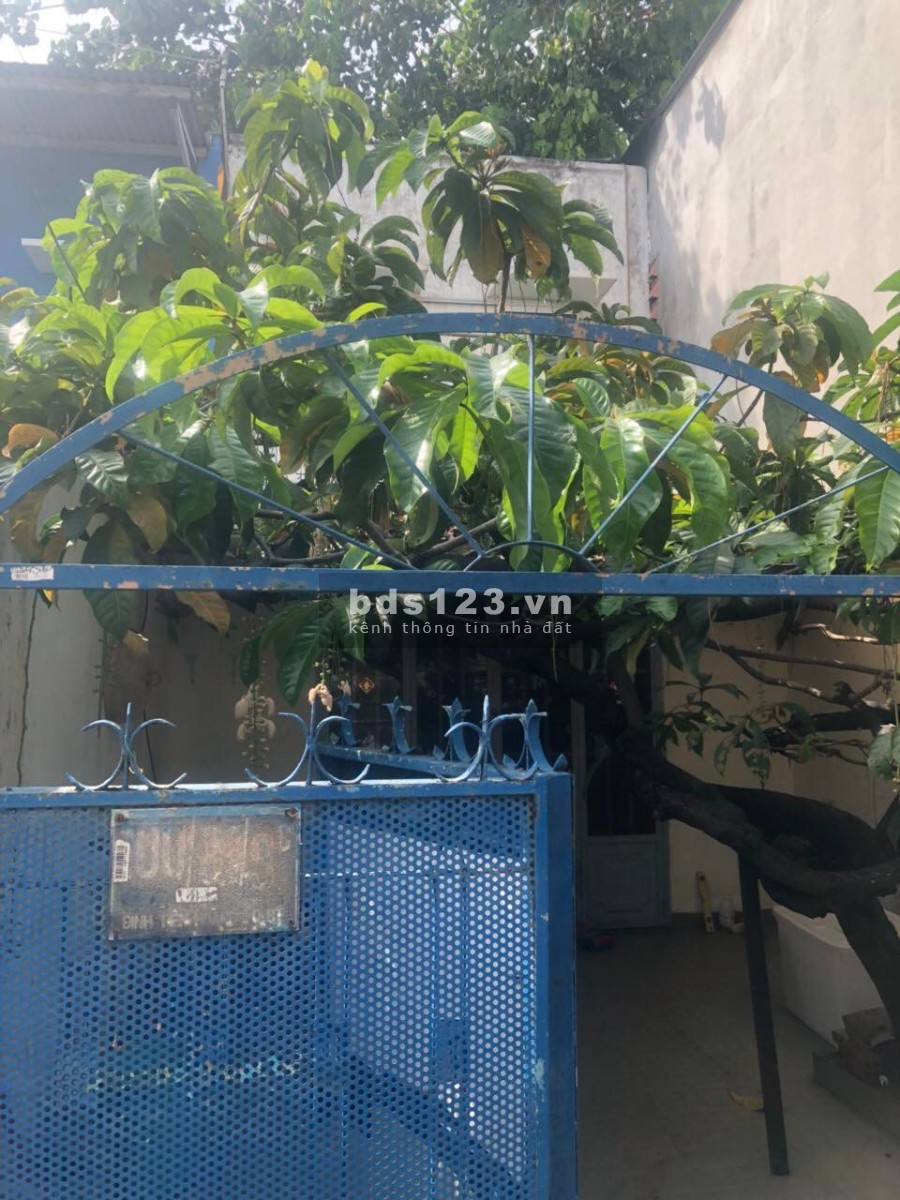 Chi tiết Thuê nhà nguyên căn Quận Bình Thạnh chính chủ, giá rẻ, an ninh tiện ích đầy đủ