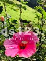 Đất nhà vườn đẹp gần hồ Trị An và rừng Nam Cát Tiên khí hậu mát mẻ