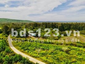 Đất nhà vườn đẹp gần hồ Trị An và rừng Nam Cát Tiên khí hậu mát mẻ