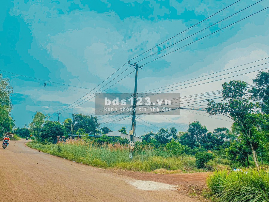 Đất Sào Bàu Cạn Gần Sân Bay Long Thành - Giá Đầu Tư liên hệ 0962960735 hỗ trợ vay