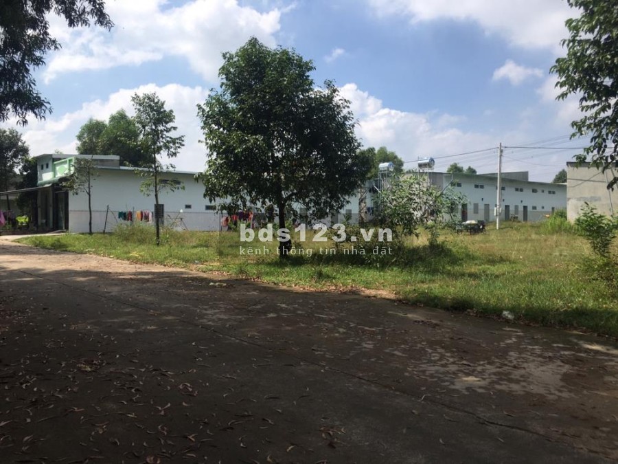 Bán gấp lô đất để trả lương cho nhân viên mùa Covid, vị trí đẹp, khu dân cư pháp lý đầy đủ