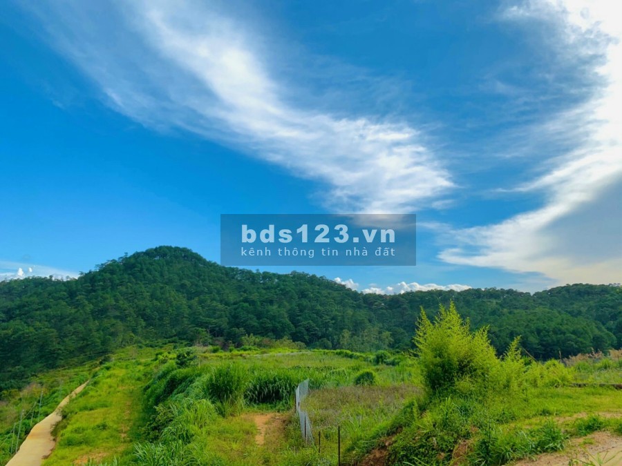 Đất Nông Nghiệp P.11 thành phố Đà Lạt. giá chưa tới 4 triệu/m2 đường lớn ô to vào