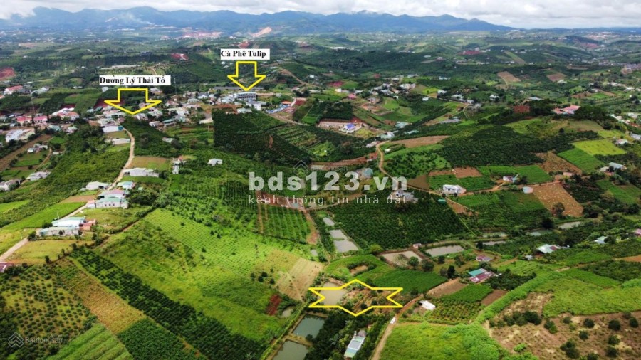 Đất view hồ ở bảo lộc giá 2,5 triệu/m2 sổ hồng pháp lý rõ ràng, liên hệ 0933293183