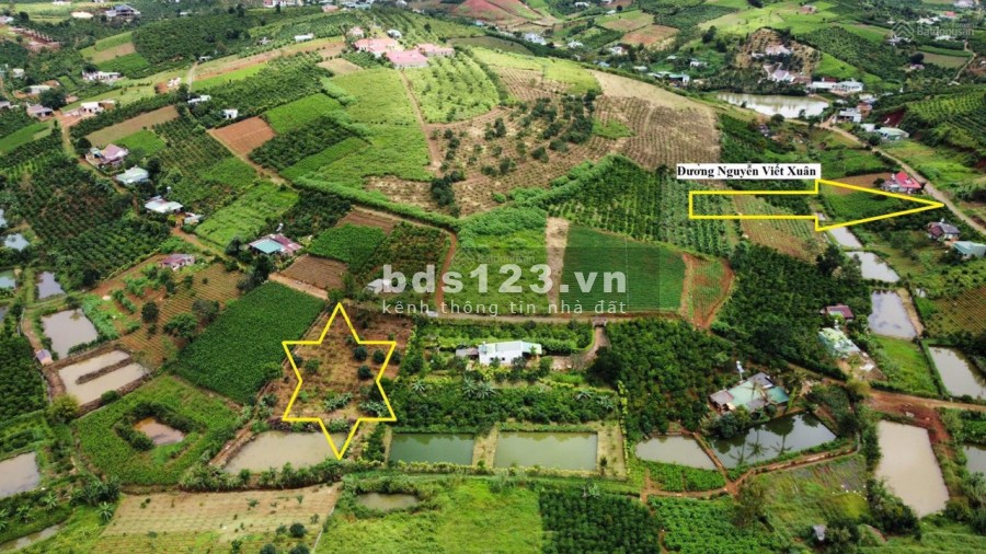 Đất view hồ ở bảo lộc giá 2,5 triệu/m2 sổ hồng pháp lý rõ ràng, liên hệ 0933293183