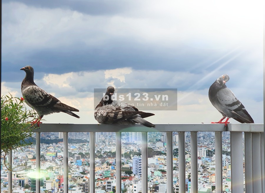 Căn hộ Viva riverside ngắm pháo bông tuyệt đẹp, 3PN, 2WC, 3 view Quận 1, 6 đầm Sen. Chính chủ 90m2