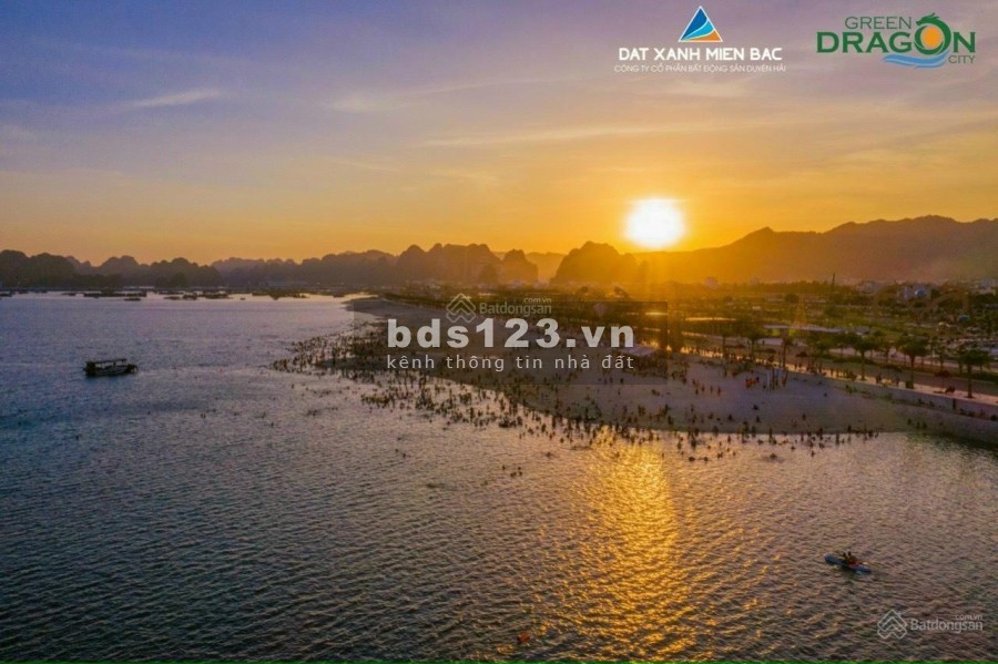 Bán Đất nền - Biệt Thự - Shop House dự án Green Dragon City (TTP) Cẩm Phả