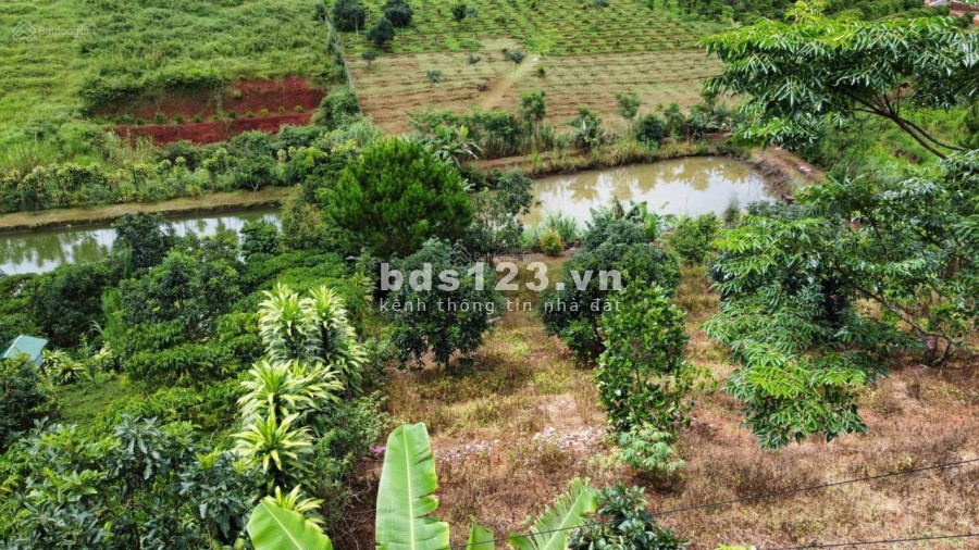 Đất view hồ ở bảo lộc giá 2,5 triệu/m2 sổ hồng pháp lý rõ ràng, liên hệ 0933293183