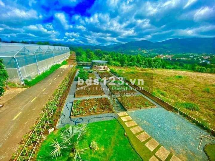 Đất nền biệt thự sổ đỏ tại khu đô thi vệ tinh thành phố Đà Lạt giá bán chỉ 4.5 triệu/m2, sổ sẵn