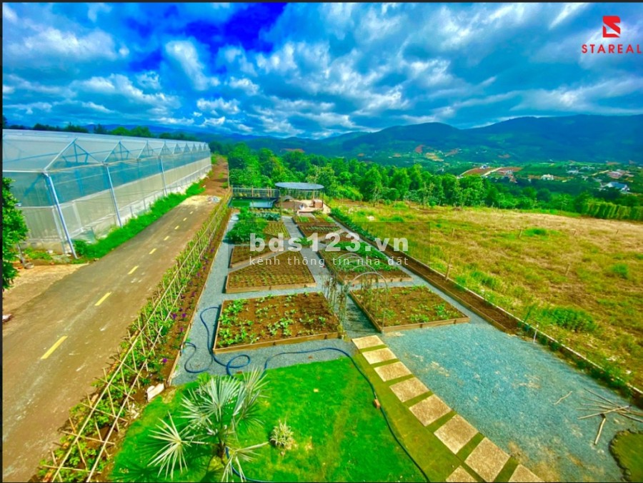 Đất nền biệt thự sổ đỏ tại khu đô thi vệ tinh thành phố Đà Lạt giá bán chỉ 4.5 triệu/m2, sổ sẵn