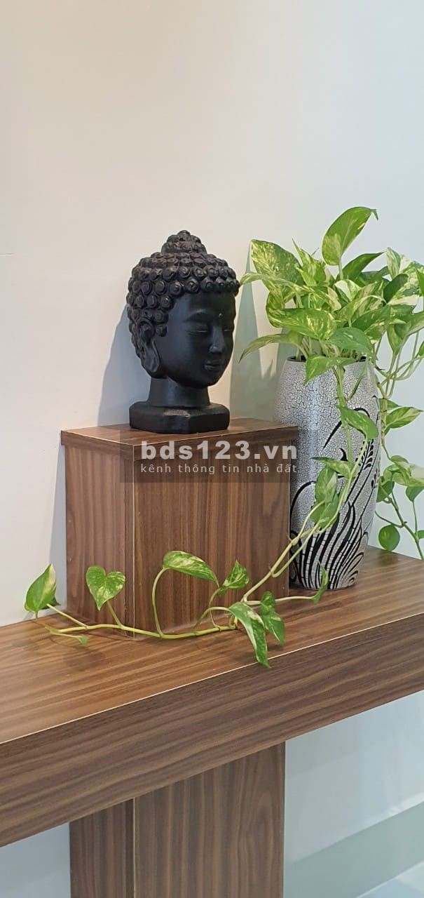 Bán Villa mini SIÊU ĐẸP đường Lê Đức Thọ Phường 6, Quận Gò Vấp, giá chỉ 3.8 tỷ lhcc
