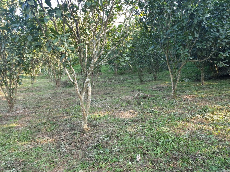Cần bán đất 2 mặt tiền tại Liên Sơn, Lương Sơn giá bán 2 triệu/m2 đầu tư sinh lời cao