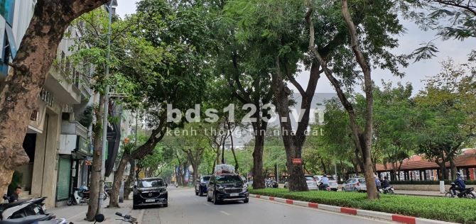 Cần bán nhà mặt phố Lê Hồng Phong, Ba Đình diện tích sử dụng 56m2, 4 tầng, giá 16 tỷ