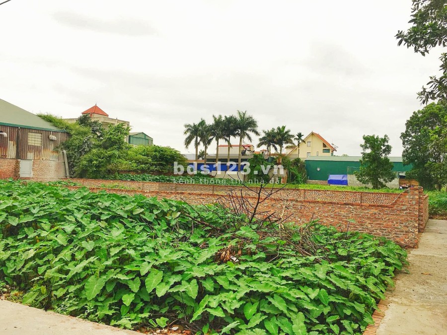 Chính chủ cho thuê 270m2 đất dựng xưởng - kho bãi