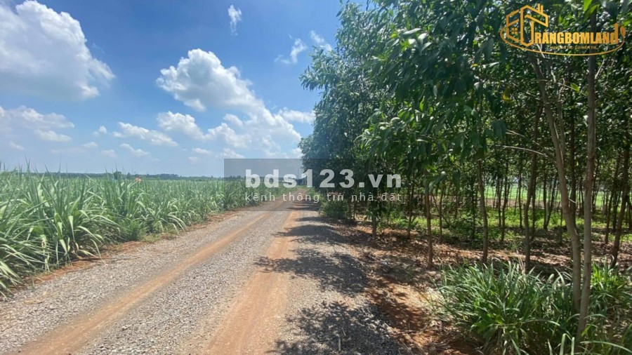 Đất sào xã Hưng Thịnh mặt tiền đường quy hoạch 16m, pháp lý hoàn chỉnh, đã có sổ hồng riêng