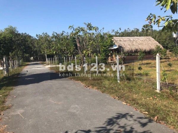 Cần bán đất mặt tiền Nguyễn Thị Cần Củ Chi, giấy tờ pháp lý đầy đủ rõ ràng, giá tốt đầu tư
