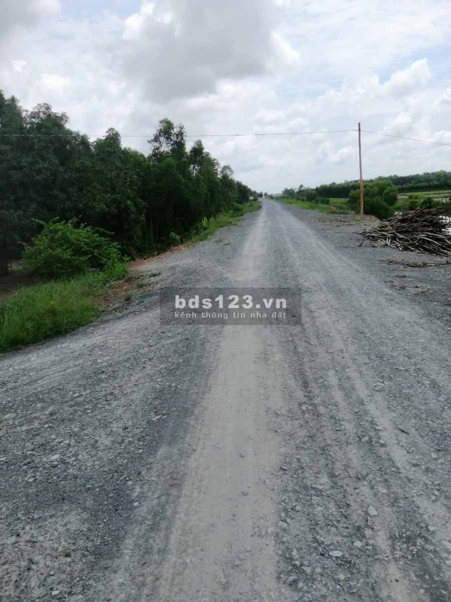 Đất lúa 1 công giá bán 280 triệu Đức Huệ Long An pháp lý đầy đủ chính chủ, giá tốt