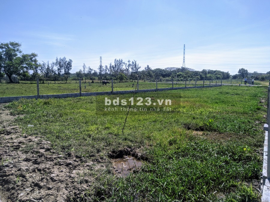 Bán đất vườn Củ Chi giá tốt diện tích lớn có Sổ hồng riêng khu dân cư đông đúc, giá tốt
