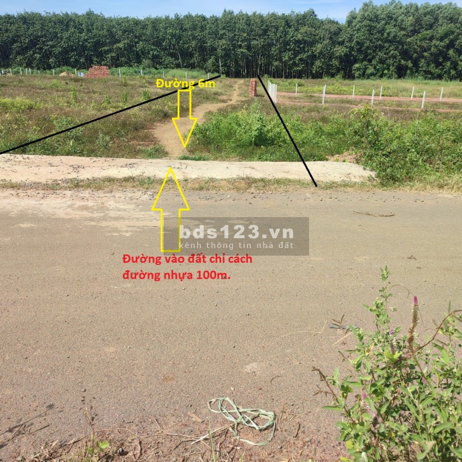 Cần tiền trả nợ bán gấp miếng đất vườn 1000m2, giá 1,05 tỷ. Gần KCN Bàu Xéo