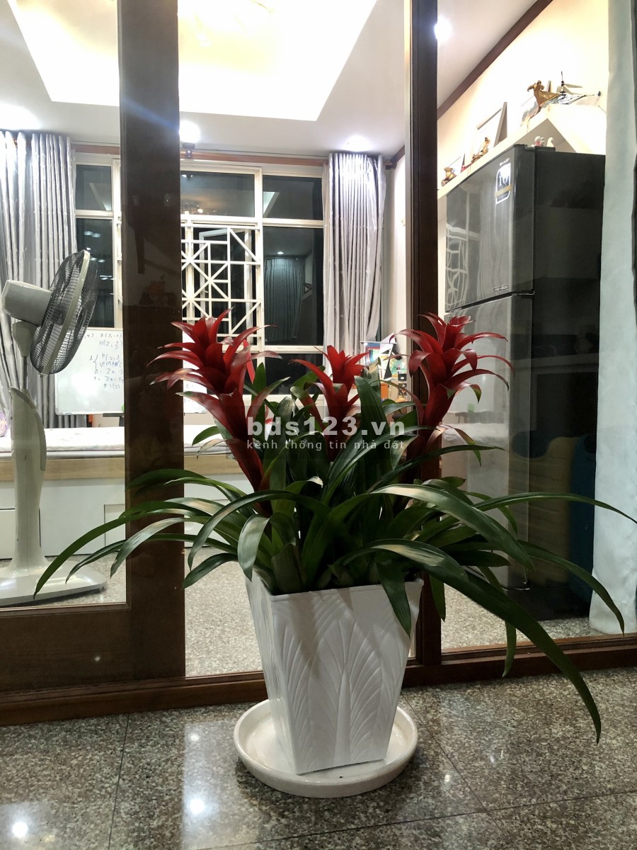 Nhà chính chủ cần cho thuê ở chung cư Giai Việt Hoàng Anh, địa chỉ số 856 Tạ Quang Bửu