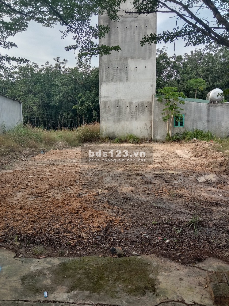 Kinh doanh thủy sản thua lỗ tôi bán lỗ 200m2 đất đô thị và 16 phòng trọ cạnh chợ khu công nghiệp KD