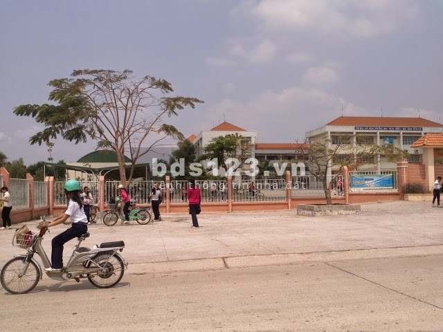 Kinh doanh thủy sản thua lỗ tôi bán lỗ 200m2 đất đô thị và 16 phòng trọ cạnh chợ khu công nghiệp KD