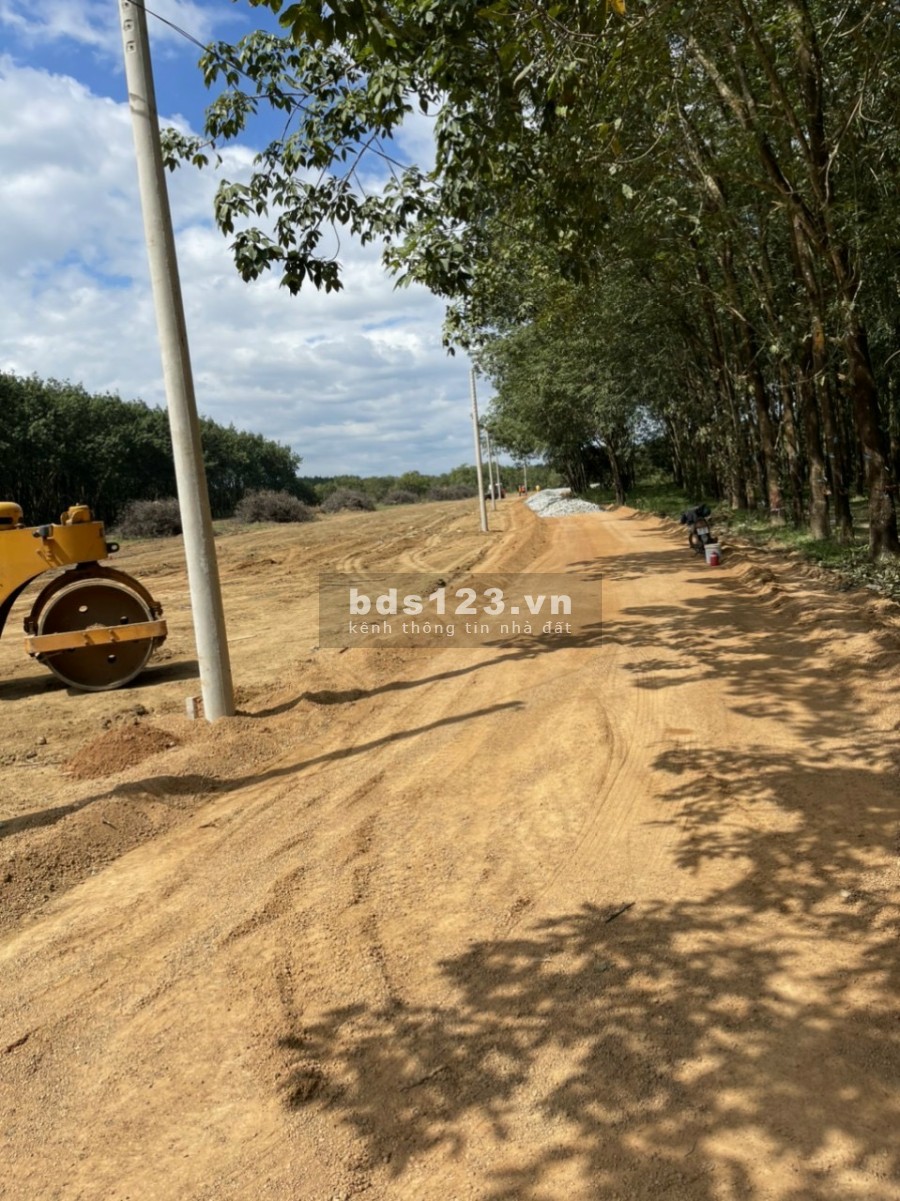 Bán đất tại Tân Hưng, Đồng Phú diện tích sử dụng 230m2 (5x46) giá bán 560 triệu, lhcc