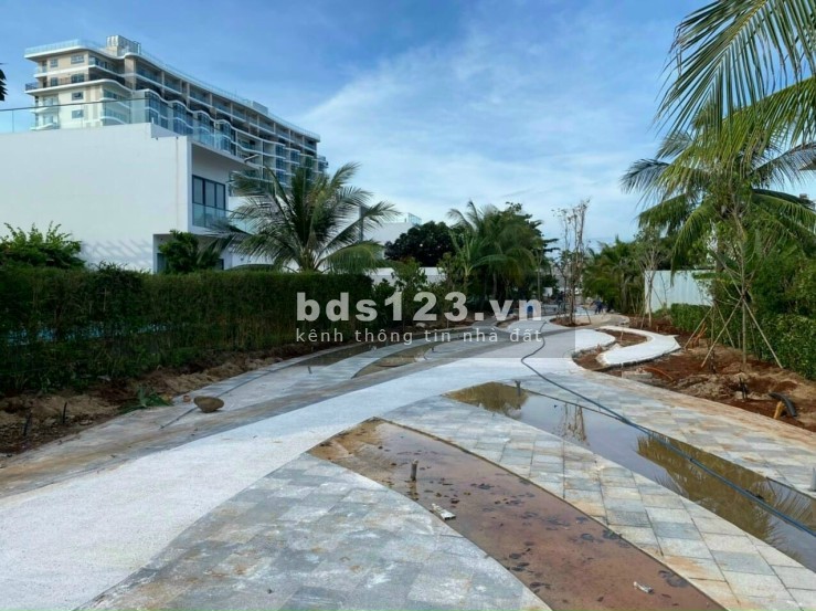 Bán căn hộ Aria Vũng Tàu 2PN 87m2 ưu đãi chiết khấu thanh toán lên đến 8% và ưu đãi tặng lượng vàng