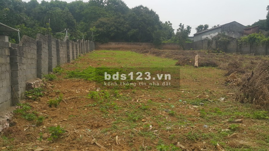 Chính chủ cần bán mảnh đất 1.000m tại Đồng Chanh, Nhuận Trạch, Lương sơn, Hòa Bình