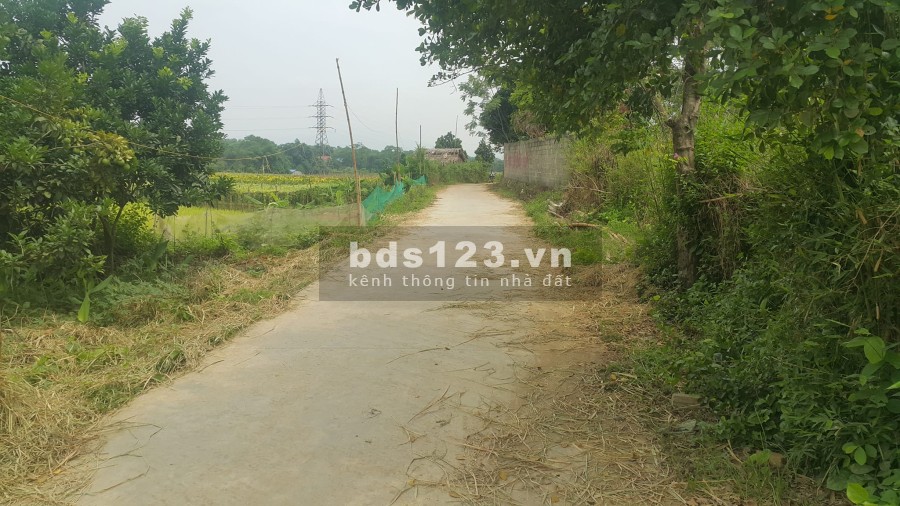 Chính chủ cần bán mảnh đất 1.000m tại Đồng Chanh, Nhuận Trạch, Lương sơn, Hòa Bình