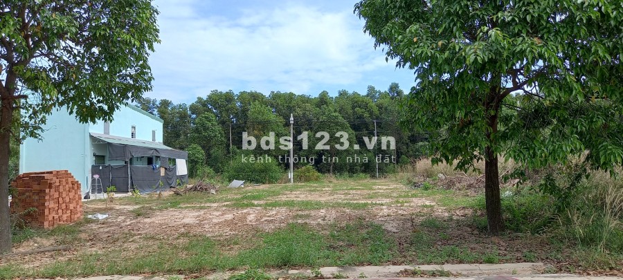Bán bớt 5m đất để mua chung cư cho con, tìm người cần mua giá bán 1.68 tỷ, pháp lý đủ