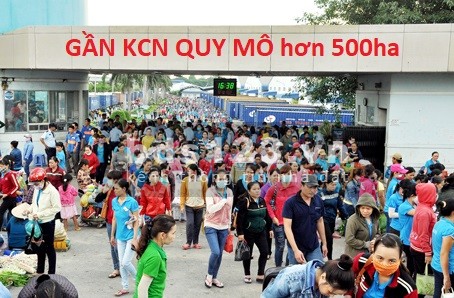 Bán bớt 5m đất để mua chung cư cho con, tìm người cần mua giá bán 1.68 tỷ, pháp lý đủ