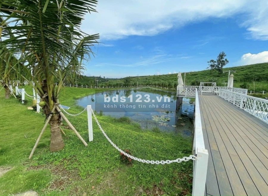 Mọi người ơi chỉ với 800tr có thể sở hữu 1 lô đất vô cùng đẹp hỗ trợ vay ngân hàng, lhcc