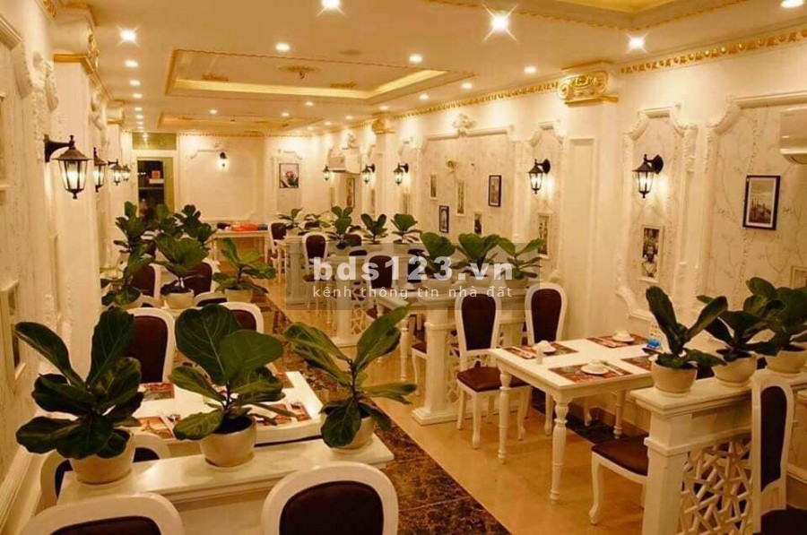 Bán nhà mặt tiền Lê Hồng Phong diện tích sử dụng 109m2, 7 tầng đúc BTCT, giá chỉ 36 tỷ