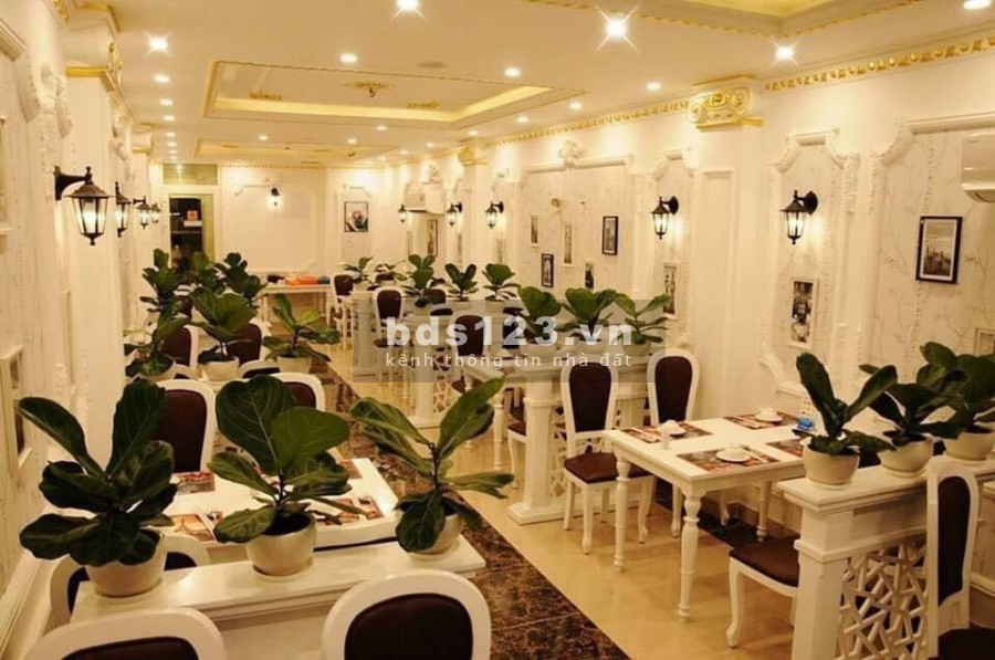Bán nhà mặt tiền Lê Hồng Phong diện tích sử dụng 109m2, 7 tầng đúc BTCT, giá chỉ 36 tỷ