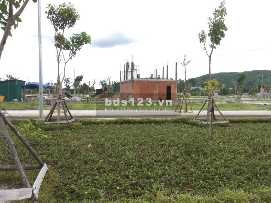 bán lo biệt thự ngay trung tâm thị xã Đức Phổ