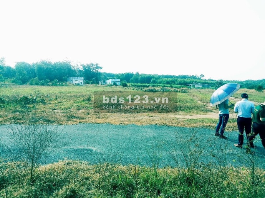 Bán gấp hơn 1000m2 ONT đường nhựa 7m xã Phướ Bình - gần kcn, đường liên xã lên sân bay
