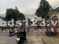 Về Sài Gòn sống cần bán tài sản gồm 1 CĂN NHÀ và 1 DÃY TRỌ, nhà đẹp dân đông, giá rẻ