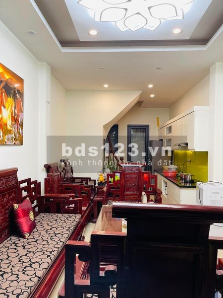 Bán nhà phố Nhân Hoà nguyên căn diện tích 46m2, đúc 5 tầng kiên cố, mặt tiền 3.3m, giá 5 tỷ