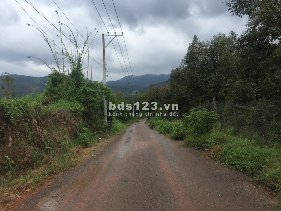 KẸT TIỀN CẦN BÁN GẤP LÔ ĐẤT 3000M TRONG ĐÓ CÓ 400M ĐẤT THỔ CƯ - MADAGUI - LÂM ĐỒNG